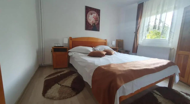 Casa Flavius, Rezervovat Hotel Levné hotely v Prahova Valley