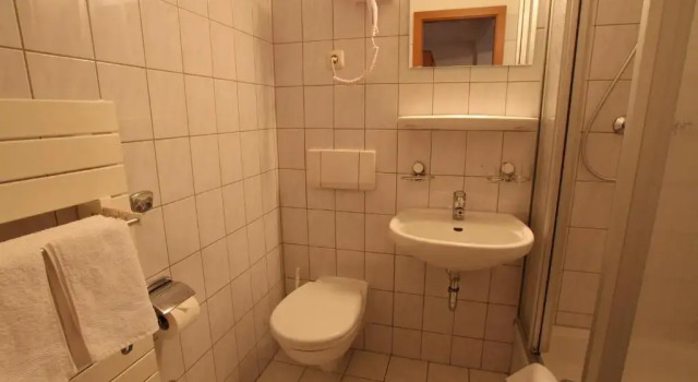 Одноместный номер Standard Hotel Weisse Taube