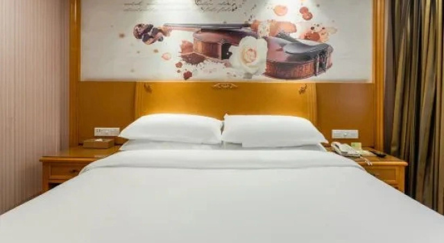 Двухместный люкс Deluxe Vienna Hotel Whhan xingye road stone bridge subway station store
