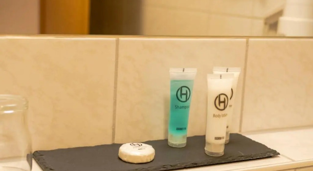 Одноместный номер Standard Landhotel Donaublick