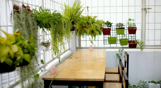 Номер Economy Les Fleurs Bangkok Hostel