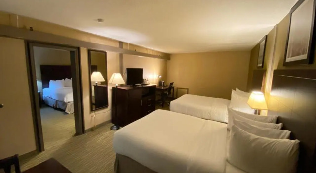 Люкс с 2 комнатами Wyndham Garden Ann Arbor