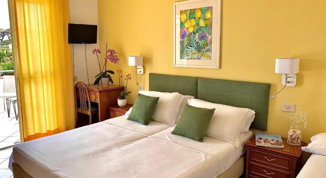 Номер Standard Resort Villa Flavio