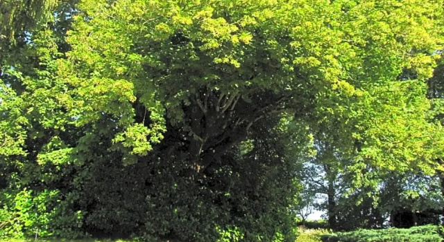 Le Chemin, Забронировать Отель Шаллиньяк Charente