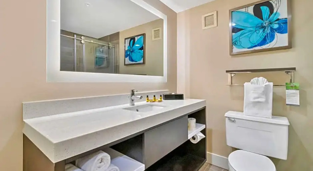 Четырёхместный люкс c 1 комнатой Best Western Plus Greenville I-385 Inn & Suites
