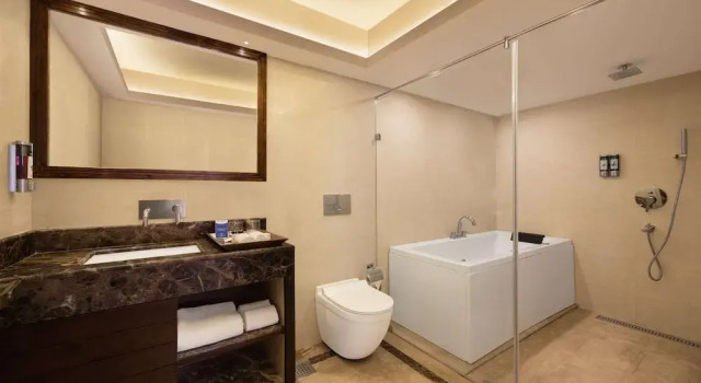 Люкс Executive Golden Tulip Srinagar