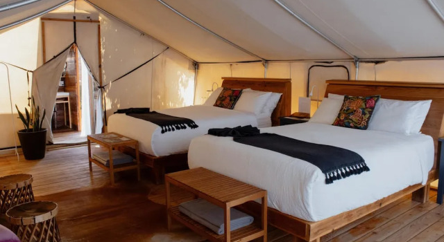 Двухместный номер Standard Hotel Cuatro Cuatros