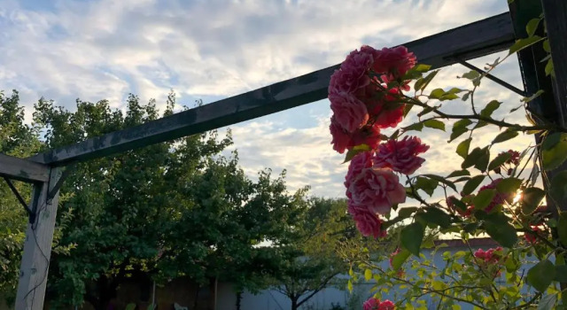 Номер Standard Galeria In The Garden