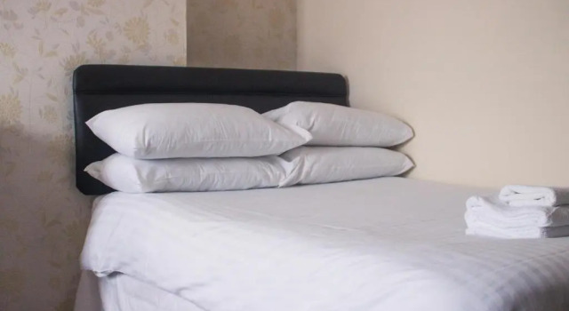 Двухместный номер Standard Wellesley Park Hotel
