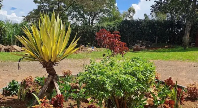 The Yala Home, Foglalás Panzió Eldoret Uasin Gishu