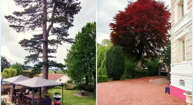 Двухместный номер Comfort с видом на парк Chez Martine et Philippe en Velay