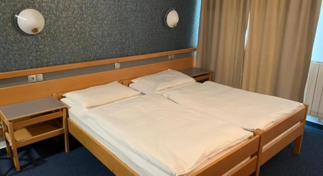 Трёхместный номер Hotel Alp