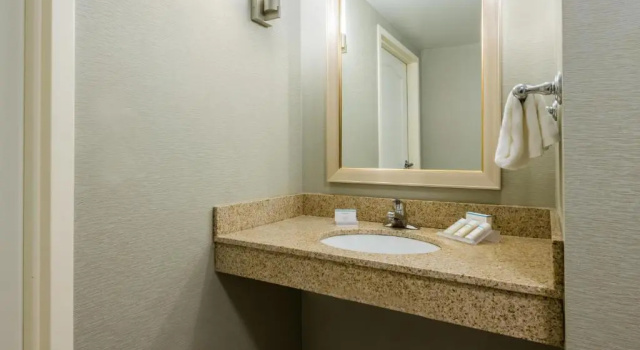 Двухместный номер Mobility/Hearing Accessible Hilton Garden Inn Orlando International Drive North