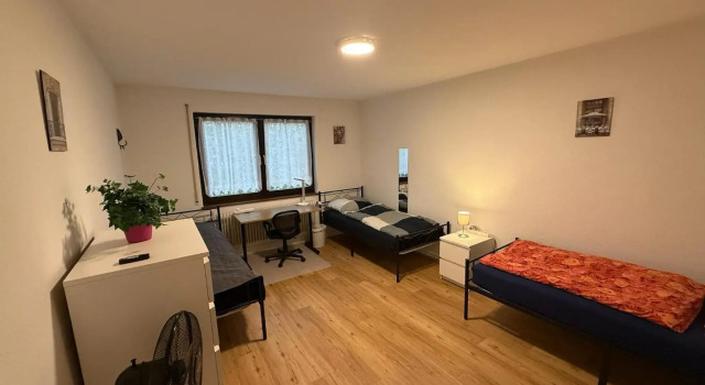Big, cosy and central apartment