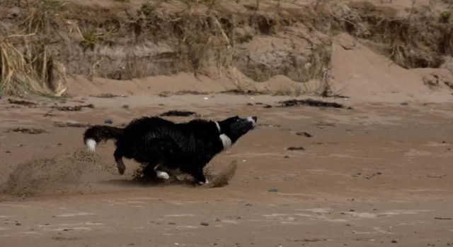 Студия @ the beach & not quite @ the beach Holiday Cottages - Stanley