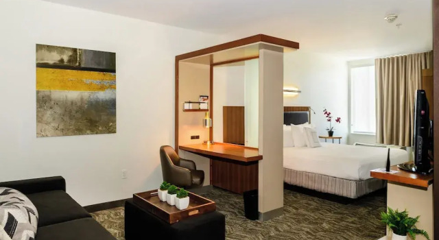 Студия SpringHill Suites Houston NASA/Seabrook
