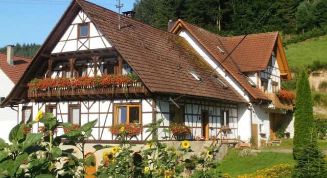 Апартаменты Steinhof