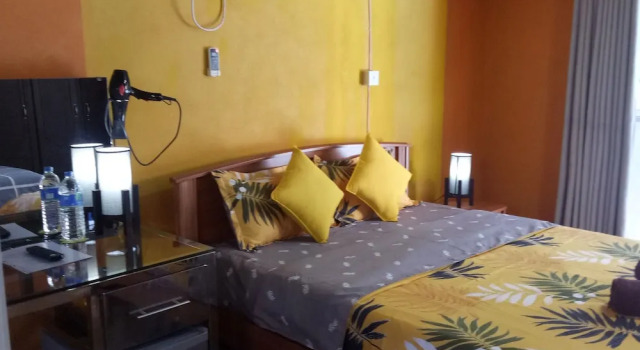 Номер Standard Palms Villa