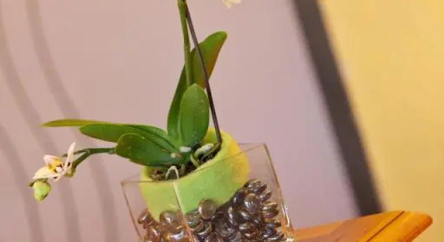 Номер Standard Hôtel restaurant Vertfeuille