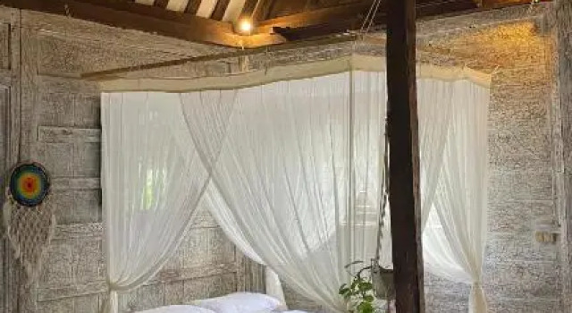 Номер Standard Pumba Homestay