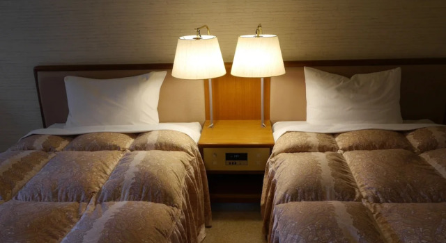 Двухместный номер Standard с балконом Yamanakako-Asahigaoka-Onsen Hotel Seikei