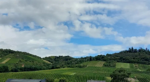 Номер Standard c 1 комнатой с балконом и с видом на горы FeWos Weinbergblick Wintrich by Brauneberger Hof an der Mosel