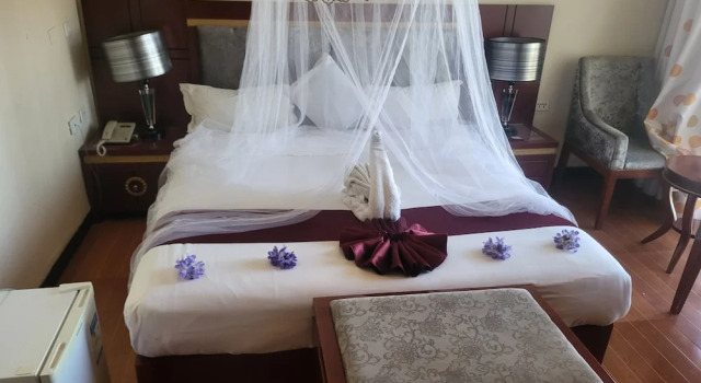 PALM PALACE Best BUDGET HOTEL & TOUR Options s, Boek Hotel Bahir Dar 