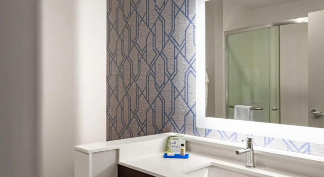 Двухместный номер Standard Holiday Inn Express & Suites Sanford - Lake Mary by IHG