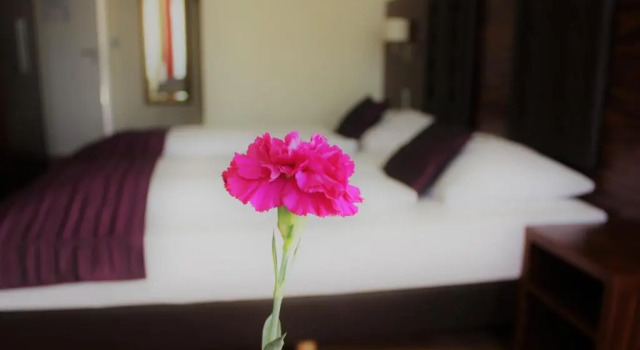 Двухместный номер Standard Hotel Germersheimer Hof