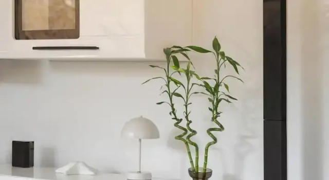 Aeolia Villa Athenian Riviera, Забронировать Вилла Виллы Сароникос, Вилла