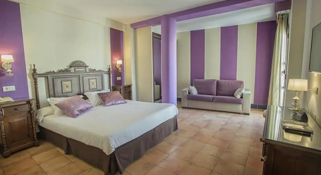 Двухместный номер Standard с балконом Hotel Rosaleda Don Pedro