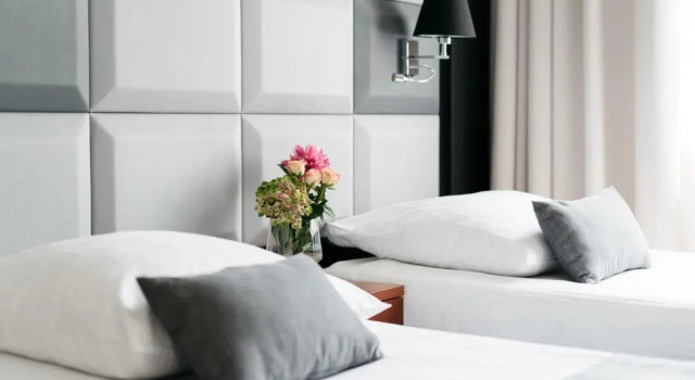 Двухместный номер Comfort Hotel Apis