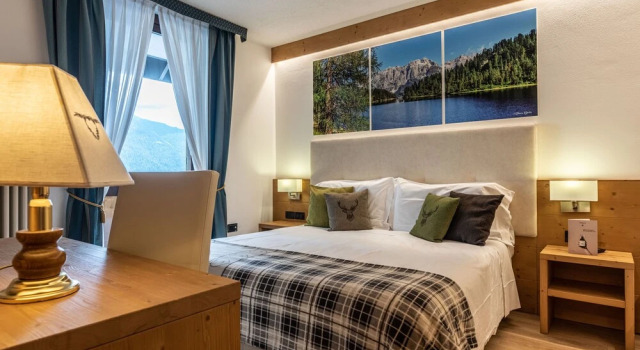 Двухместный номер Comfort Hotel Caminetto