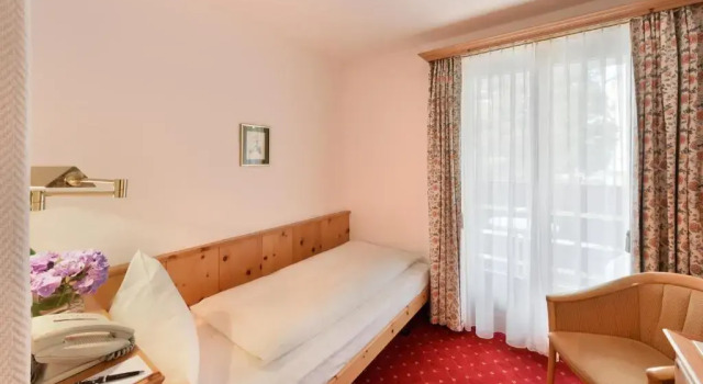 Одноместный номер Economy Hotel Steinbock Pontresina