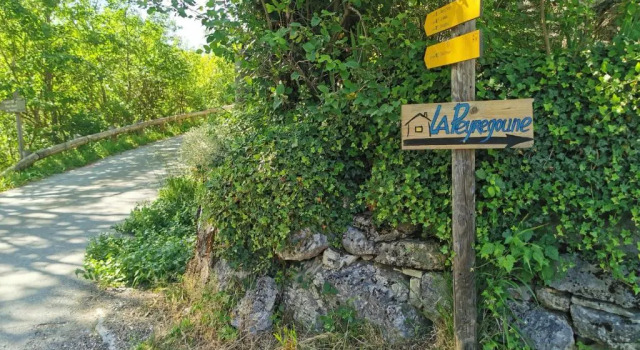Номер Standard La Peyregoune, Logement En Pleine Nature Et Table D'hotes (Adults Only)