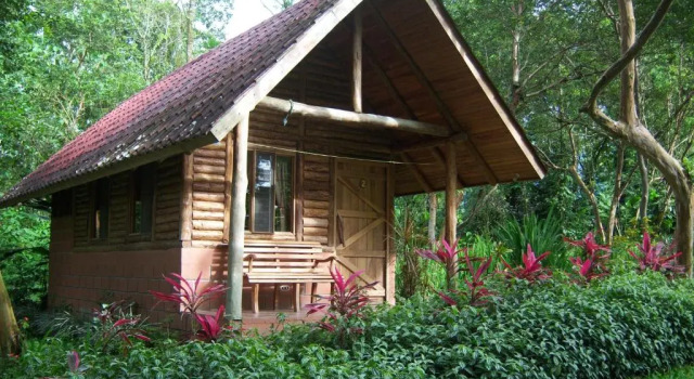 Бунгало Standard Arenal Oasis Eco Lodge & Wildlife Refuge