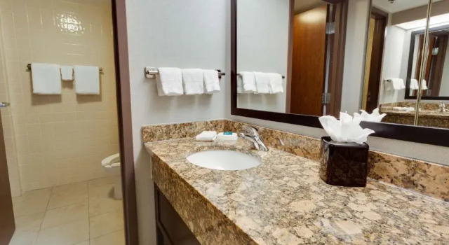 Люкс Drury Inn & Suites San Antonio Northeast