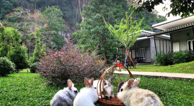 Двухместный номер Standard с видом на горы V Valley Resort