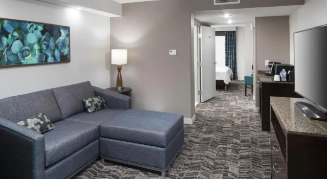 Одноместный полулюкс Hilton Garden Inn Dothan