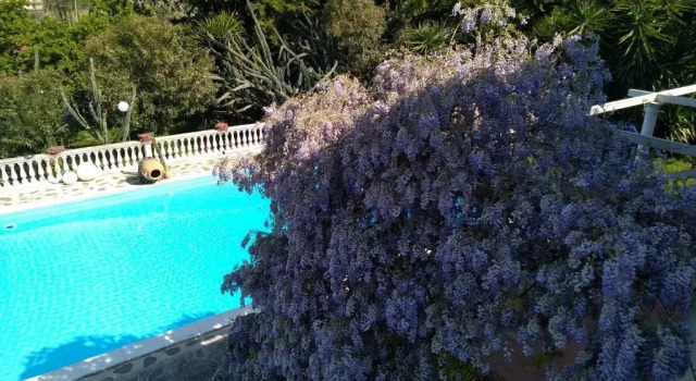 Номер Standard B&B LA MARCHESA