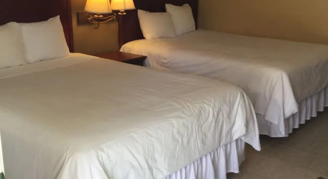 Deluxe firedobbelt værelse Murphy Motel