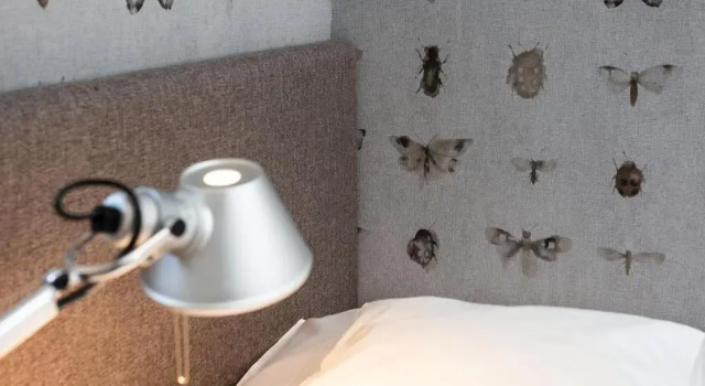 Номер Standard Landhotel Gottinger