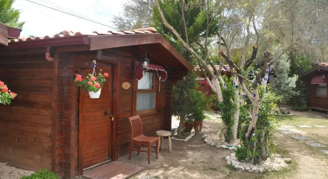 Номер Standard Sakizlarpark Bungalows