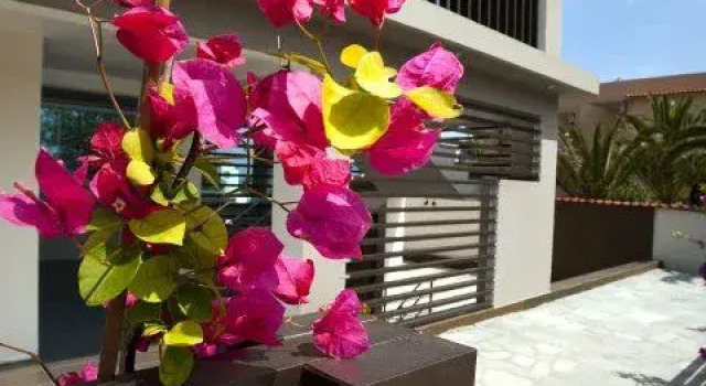 Thalassa Boutique Apartments, Забронировать Апартаменты/квартира Отели Сарти с бассейном, рядом с Пляж Сиело, Бассейн
