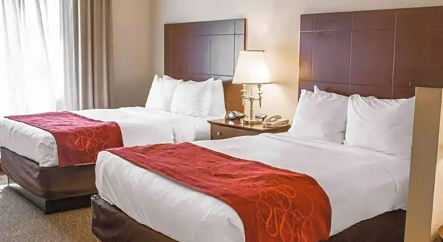 Четырёхместный номер Standard Comfort Suites Huntsville MidCity District at Research Park