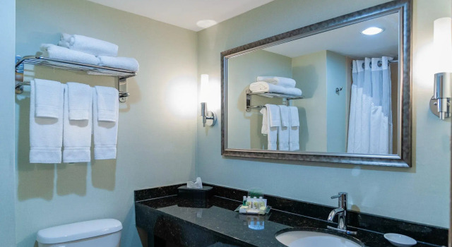 Четырёхместный номер Standard Holiday Inn Lansdale-Hatfield by IHG