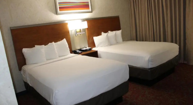 Четырёхместный номер Standard с видом на бассейн SureStay Plus Hotel by Best Western Bakersfield North