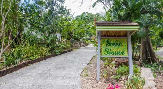 Студия GREEN HOUSE