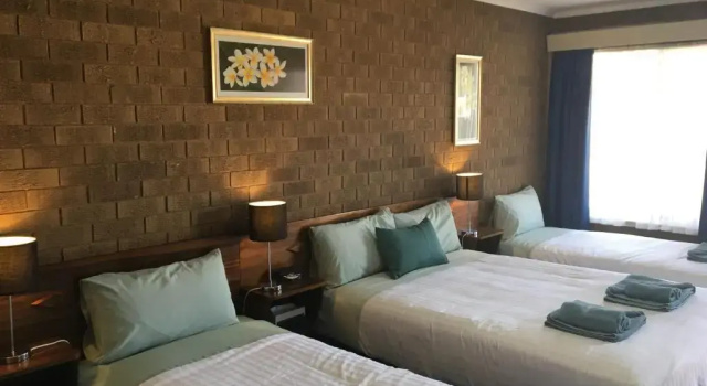 Семейный номер Standard Camellia Motel