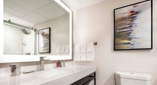 Двухместный номер Standard с красивым видом из окна Salt Lake Marriott Downtown at City Creek